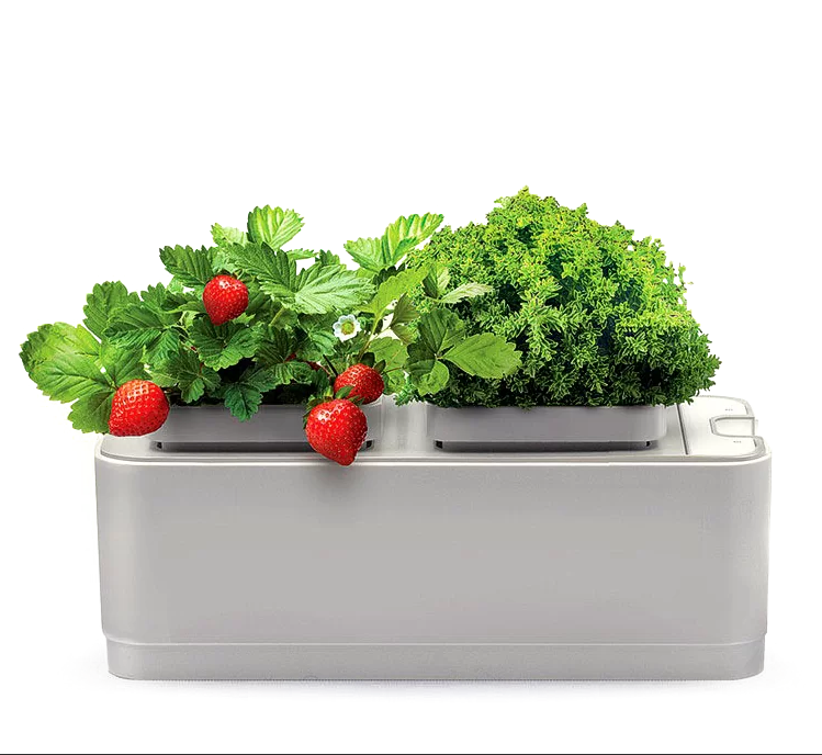 Компактный смарт-сад - GardenКомпактный смарт-сад - Garden